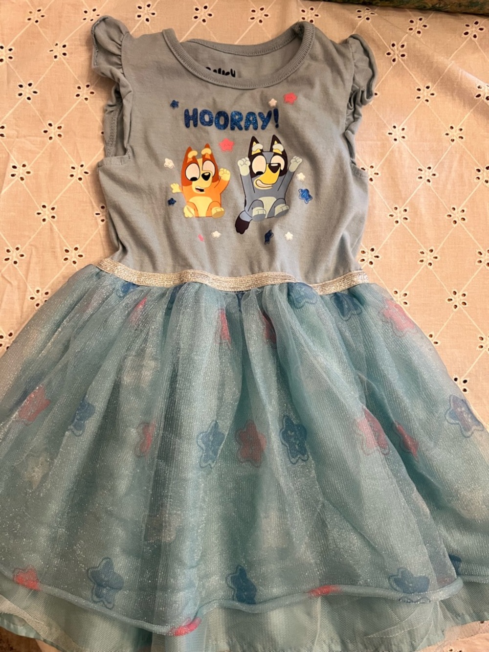 Bluey Light Blue Dress 4t